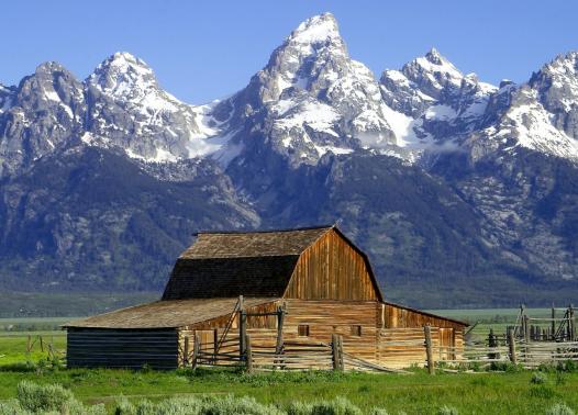 Montana e Wyoming in libertà