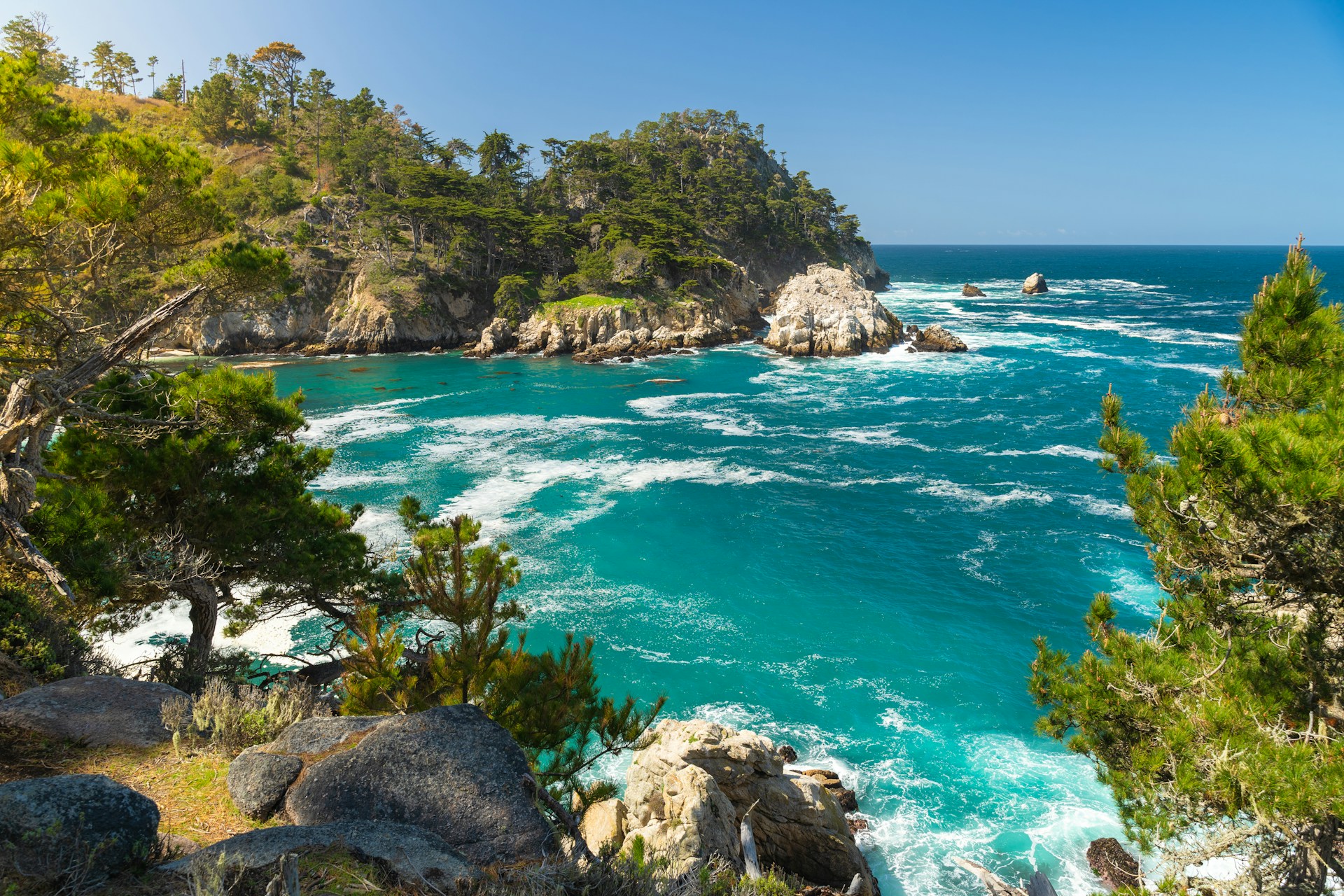 Point Lobos State Natural Reserve