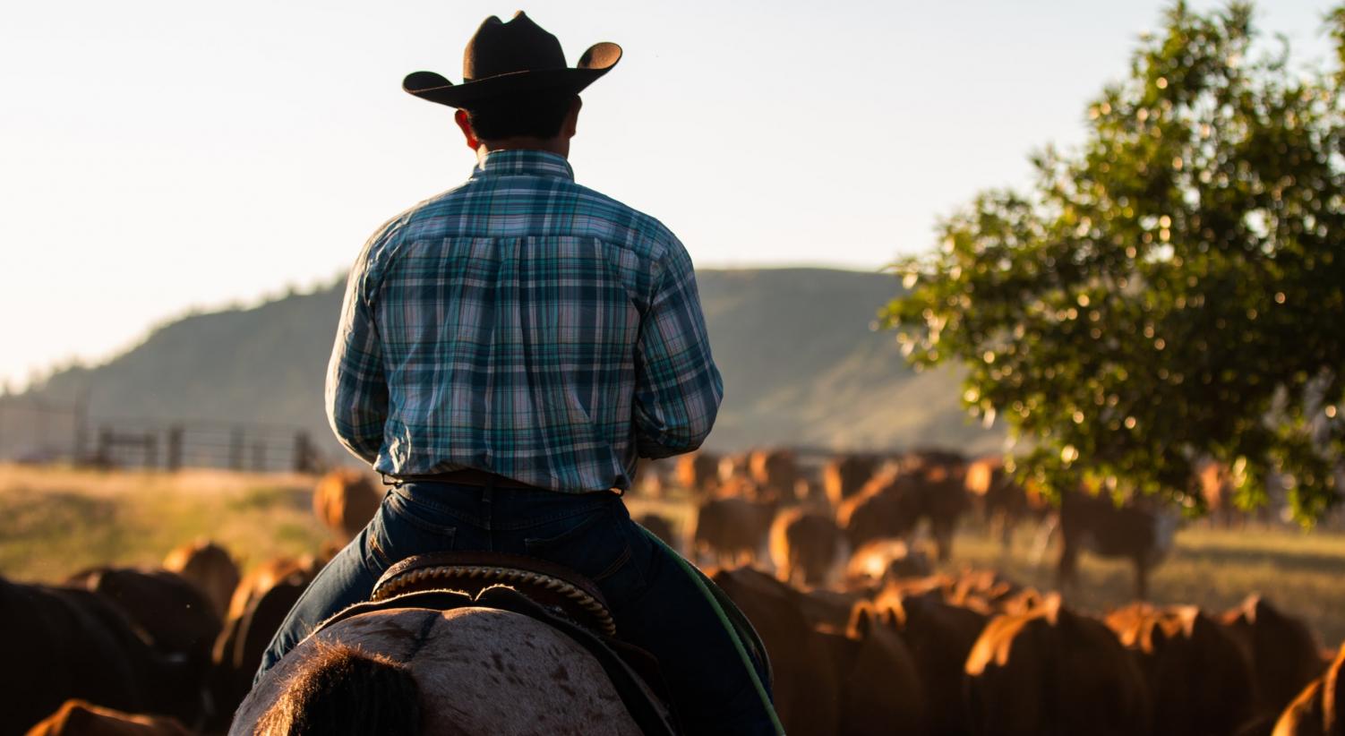 Ranch in America