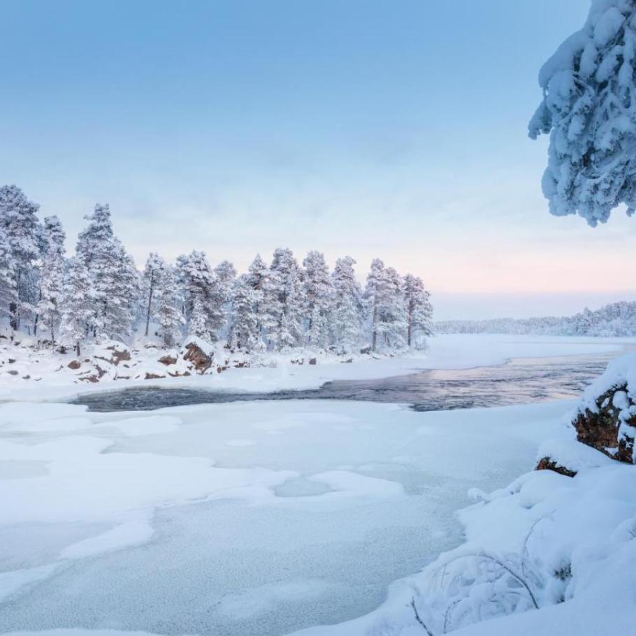 Finlandia - Delizie ghiacciate al Wilderness Hotel Juutua