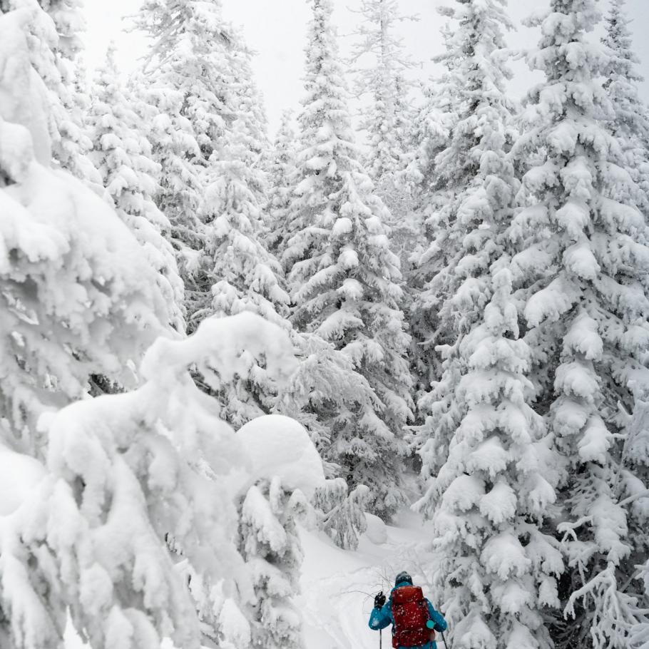 Canada - Viaggio invernale nel Canada dell'Est