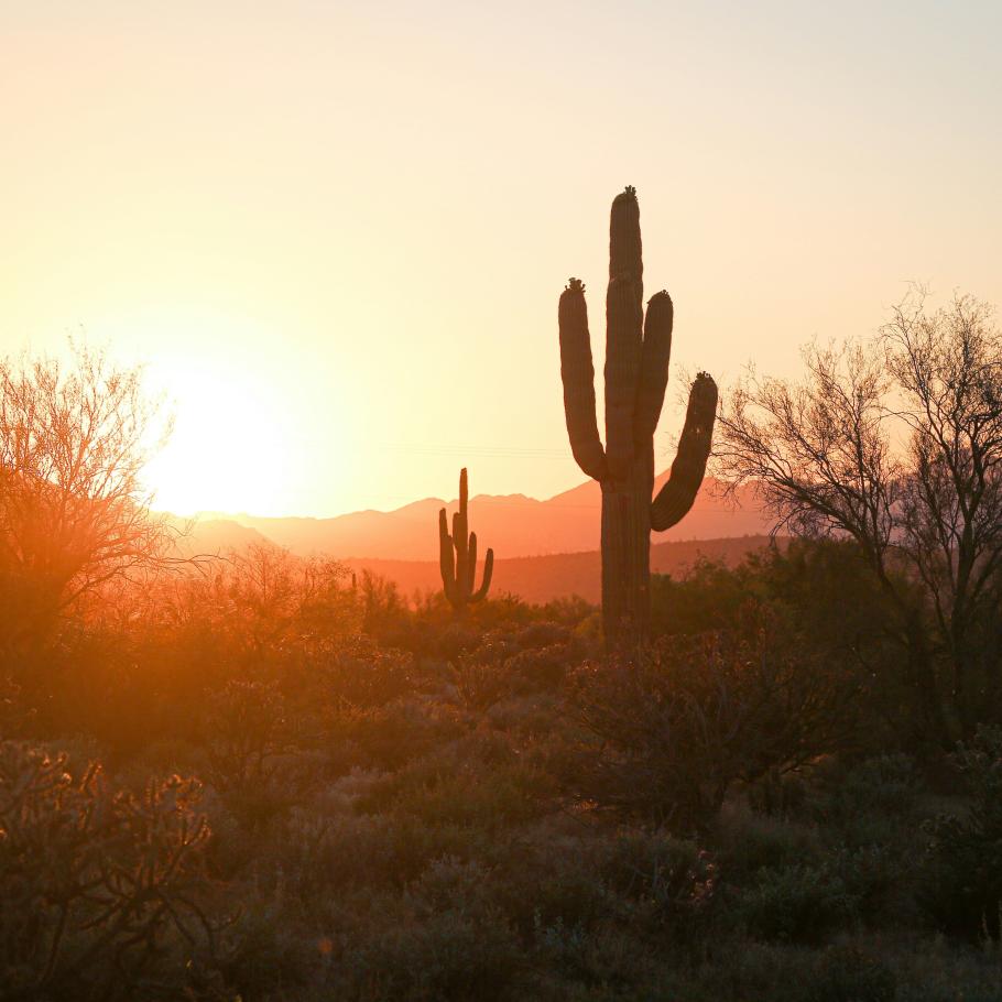 USA - Meraviglie dell'Arizona: dal deserto ai canyon